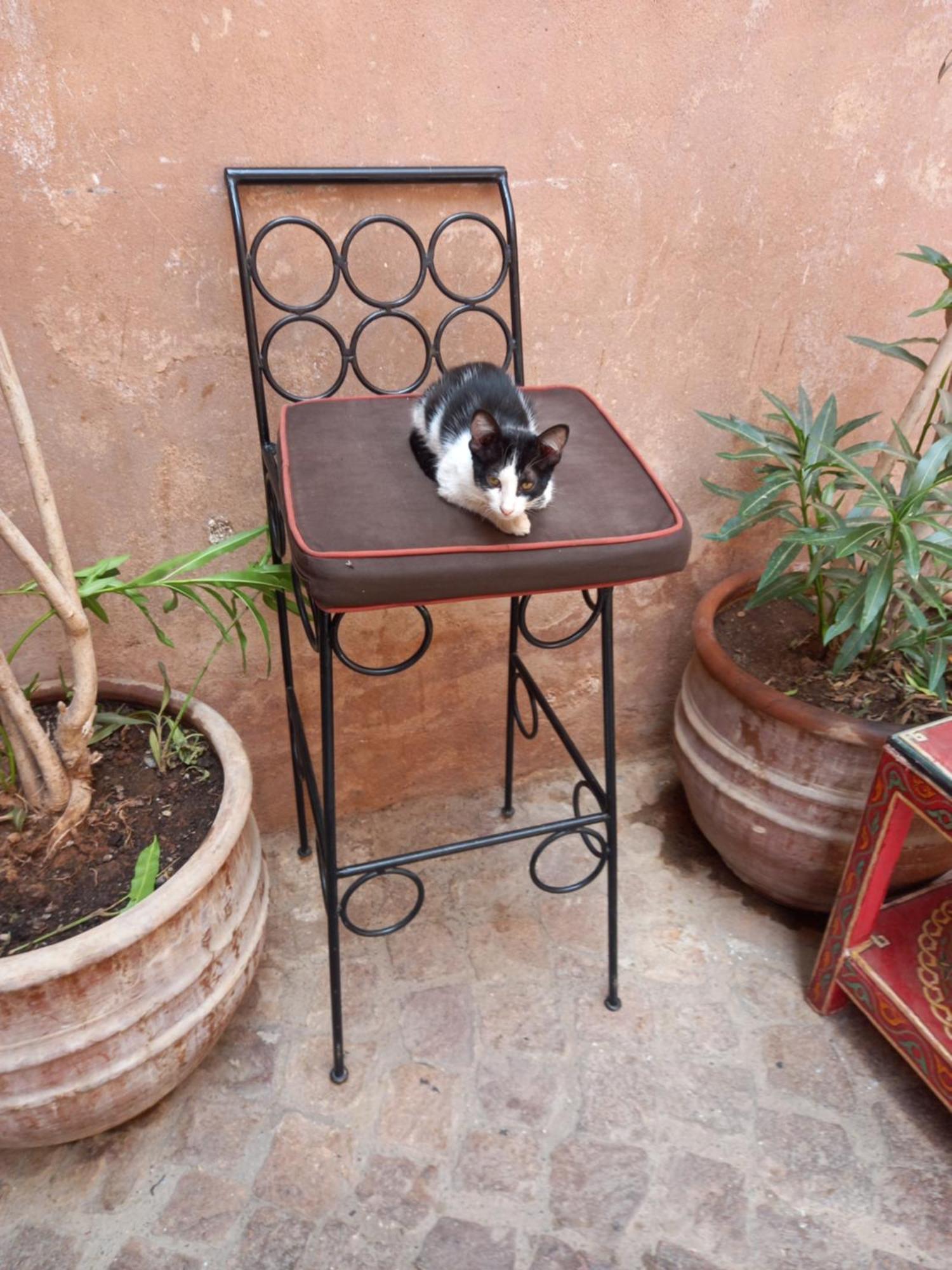 Juli'S Bed & Breakfast Marrakesh Ngoại thất bức ảnh