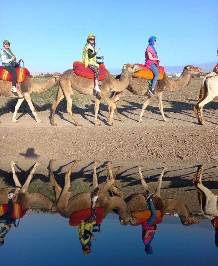 Juli'S Bed & Breakfast Marrakesh Ngoại thất bức ảnh